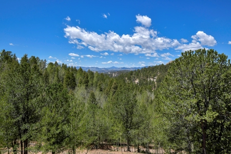 Central Colorado Mountain Home - image 13