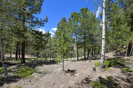 Central Colorado Mountain Home - image 41