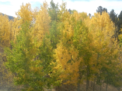 Central Colorado Mountain Home - image 44