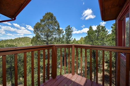 Central Colorado Mountain Home - image 14