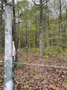 Texas County Missouri Recreational Property for Sale - image 9