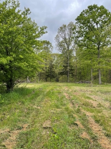 Texas County Missouri Recreational Property for Sale - image 5