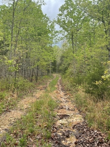 Texas County Missouri Recreational Property for Sale - image 14