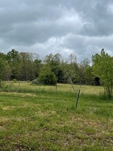 Texas County Missouri Recreational Property for Sale - image 1