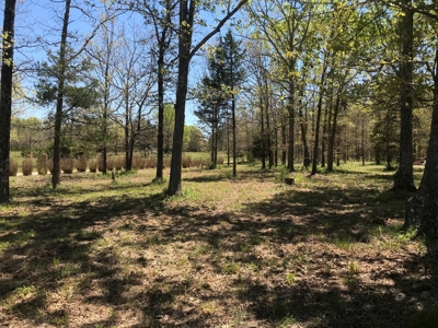 Texas County Missouri Recreational Property for Sale - image 3