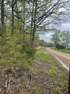 Texas County Missouri Recreational Property for Sale - image 8