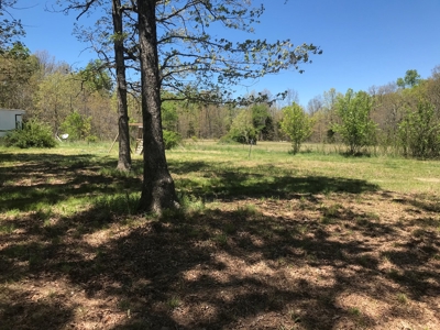 Texas County Missouri Recreational Property for Sale - image 2