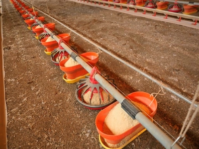 6 House Poultry Broiler Farm For Sale SW MS - image 13