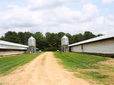 6 House Poultry Broiler Farm For Sale SW MS - image 7