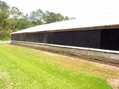 6 House Poultry Broiler Farm For Sale SW MS - image 8
