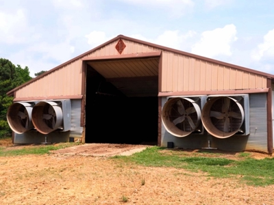 6 House Poultry Broiler Farm For Sale SW MS - image 4