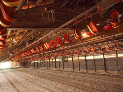 6 House Poultry Broiler Farm For Sale SW MS - image 14