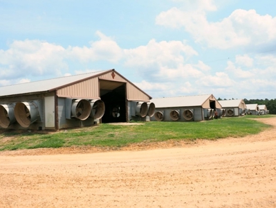 6 House Poultry Broiler Farm For Sale SW MS - image 3