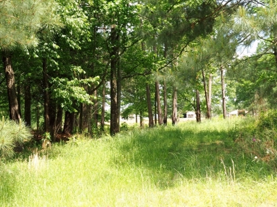 6 House Poultry Broiler Farm For Sale SW MS - image 21