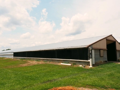6 House Poultry Broiler Farm For Sale SW MS - image 11