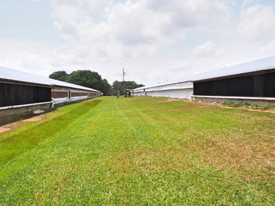 6 House Poultry Broiler Farm For Sale SW MS - image 22