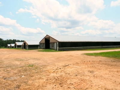 6 House Poultry Broiler Farm For Sale SW MS - image 1