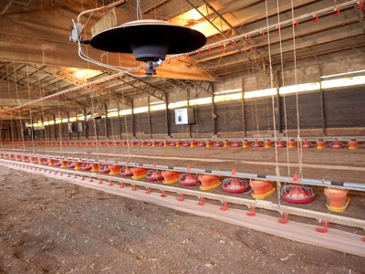 6 House Poultry Broiler Farm For Sale SW MS - image 12