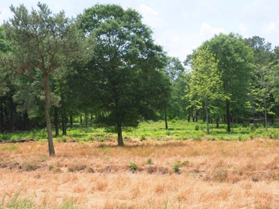 6 House Poultry Broiler Farm For Sale SW MS - image 19