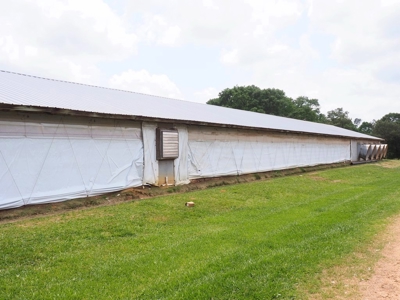 6 House Poultry Broiler Farm For Sale SW MS - image 9