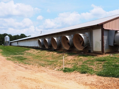 6 House Poultry Broiler Farm For Sale SW MS - image 10