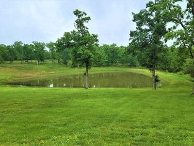Country Home For Sale Hickory County MO - image 14