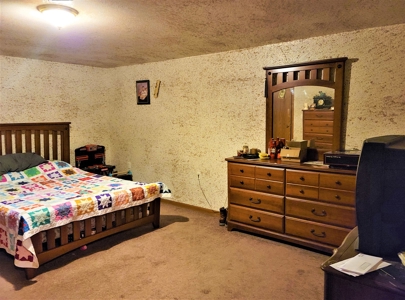 Country Home For Sale Hickory County MO - image 28