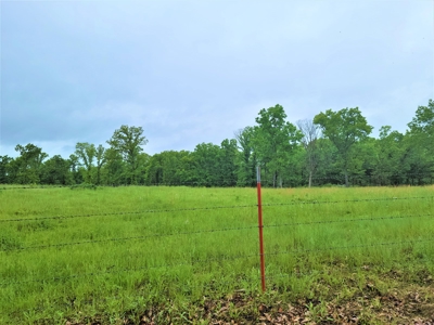 Country Home For Sale Hickory County MO - image 43