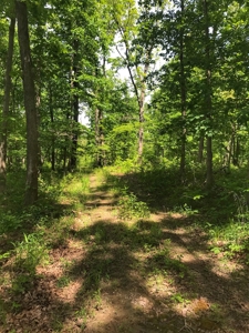 Land For Sale Morgan County Mo - image 9