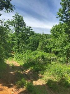 Land For Sale Morgan County Mo - image 15