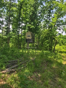 Land For Sale Morgan County Mo - image 10