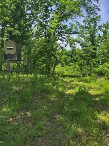 Land For Sale Morgan County Mo - image 11