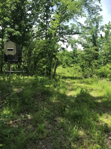 Land For Sale Morgan County Mo - image 3