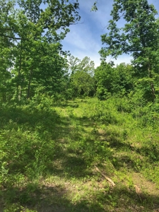 Land For Sale Morgan County Mo - image 12