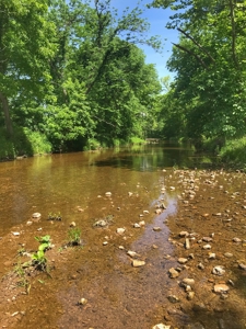 Land For Sale Morgan County Mo - image 17