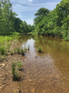 Land For Sale Morgan County Mo - image 16
