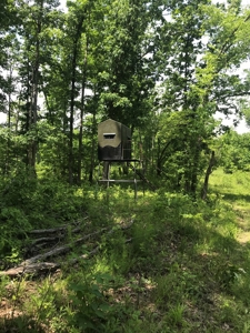 Land For Sale Morgan County Mo - image 2