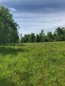 Land For Sale Morgan County Mo - image 20