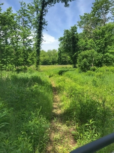 Land For Sale Morgan County Mo - image 19