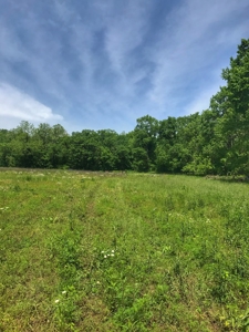 Land For Sale Morgan County Mo - image 21