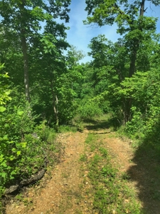 Land For Sale Morgan County Mo - image 14
