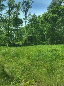 Land For Sale Morgan County Mo - image 22