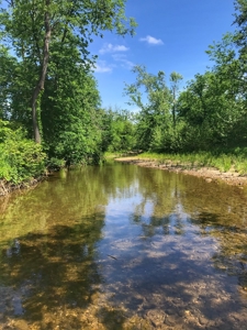 Land For Sale Morgan County Mo - image 4