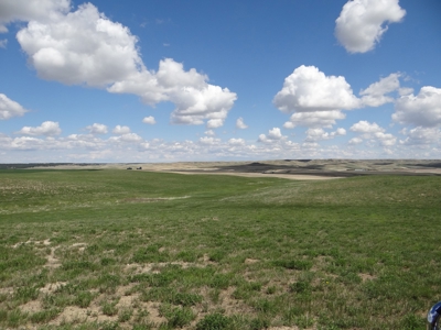 Central Montana Farm Land For Sale - image 2