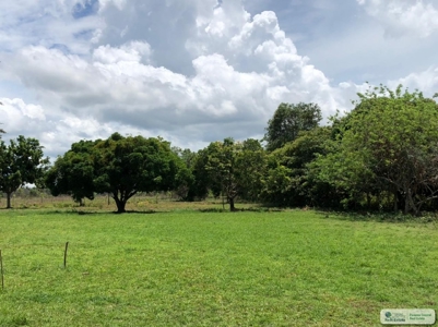 Residential Lots For Sale In Santa Clara Rio Hato Panama - image 18