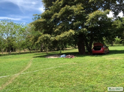 Residential Lots For Sale In Santa Clara Rio Hato Panama - image 14