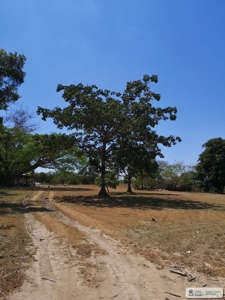 Residential Lots For Sale In Santa Clara Rio Hato Panama - image 3
