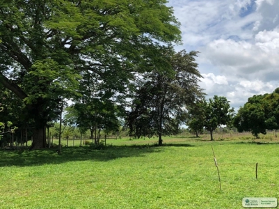 Residential Lots For Sale In Santa Clara Rio Hato Panama - image 19