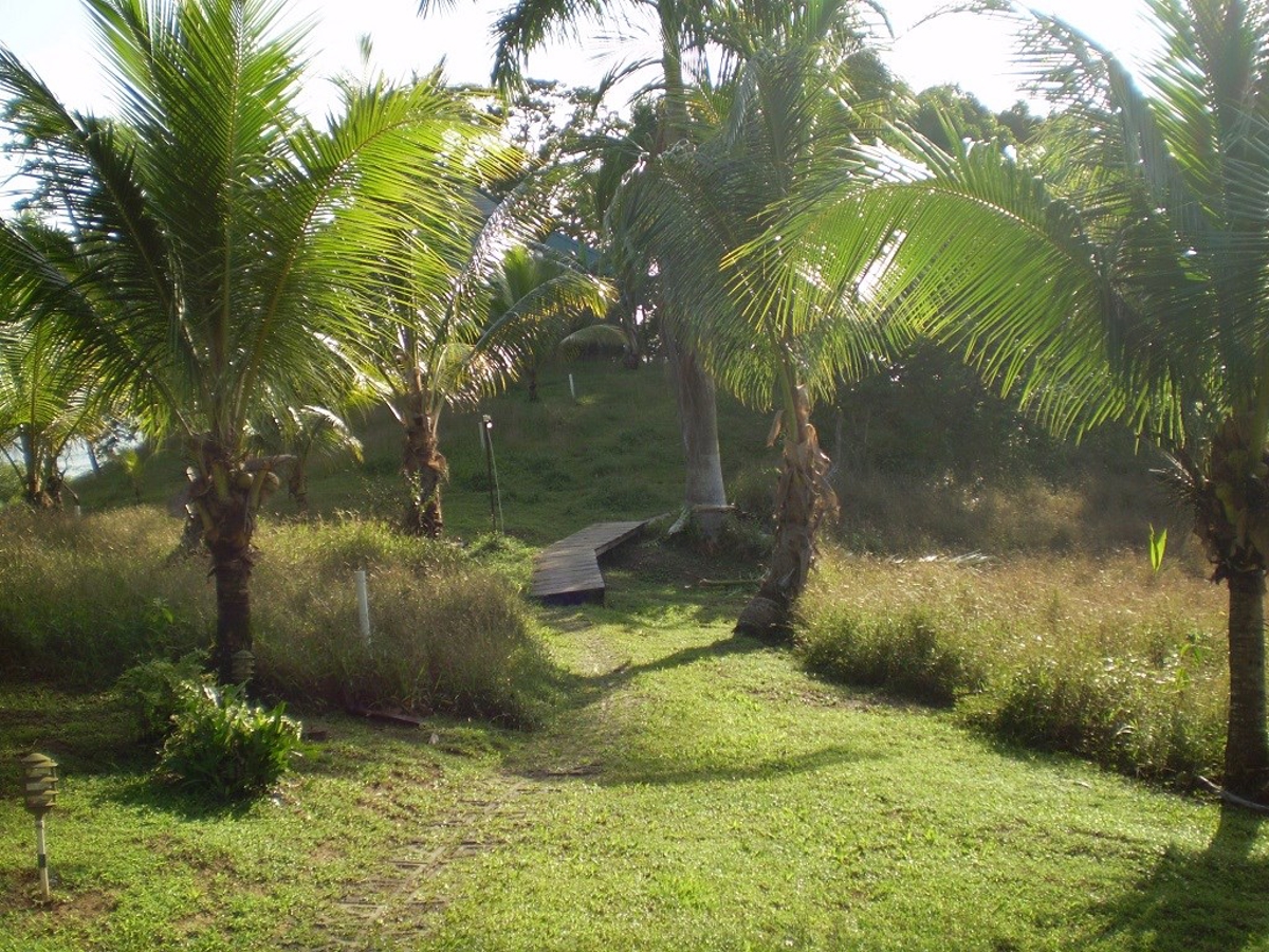 Caribbean-Style B&B, 8 Rooms — Isla Solarte - 5