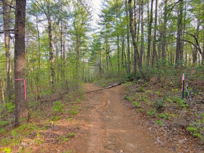 Mountain Land for Sale in Ferrum VA - image 5